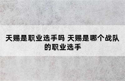 天赐是职业选手吗 天赐是哪个战队的职业选手